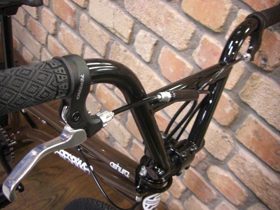ARES bykes 2010. ASHURA | Climb cycle sports