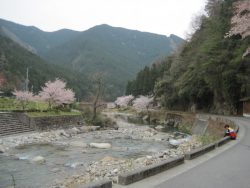 名水Climbツーリング越知ヶ峰 041