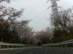 20120413-100331.jpg