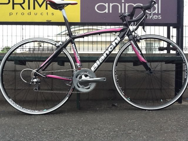 Bianchi Vianirone7 Tiagra ブラック ピンク クライム展示中 Climb