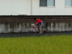 20121008-190107.jpg