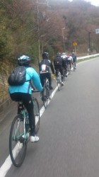 20130329-155959.jpg