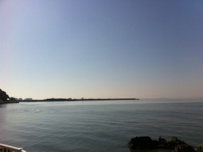 20130429-135304.jpg