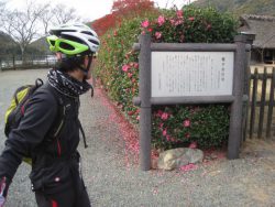 自転車道神出山田 115