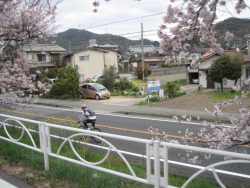 姫路城・広峯山ポタリング 006