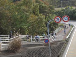 自転車道神出山田 080