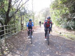 自転車道神出山田 064