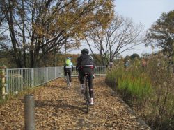 自転車道神出山田 041