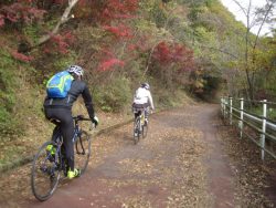 自転車道神出山田 104