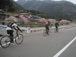 名水Climbツーリング越知ヶ峰 048