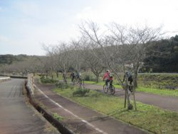 自転車道神出山田 046