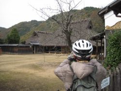 自転車道神出山田 114