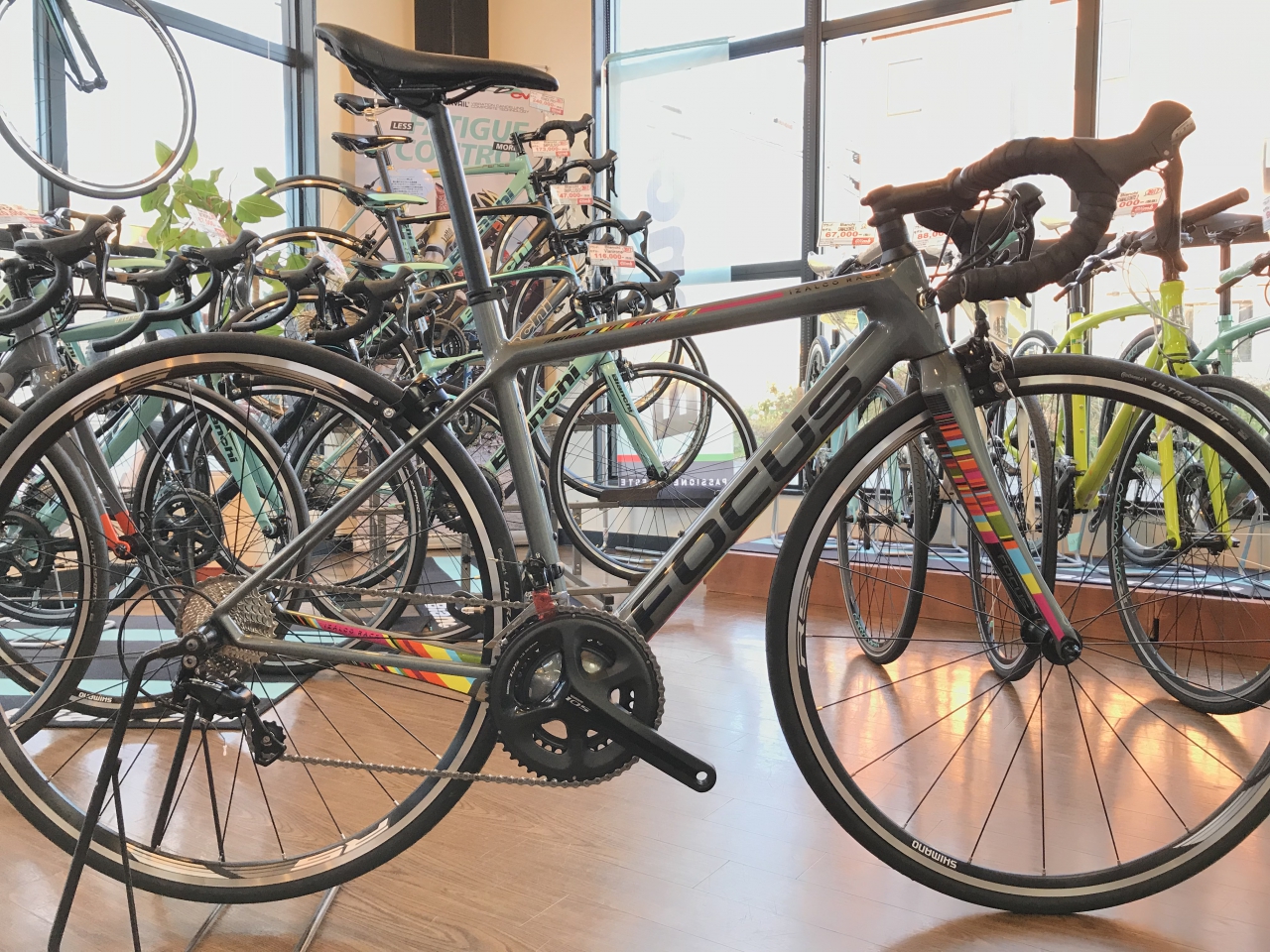 IZALCO RACE 105入荷！ FOCUS(フォーカス) - Climb cycle sports