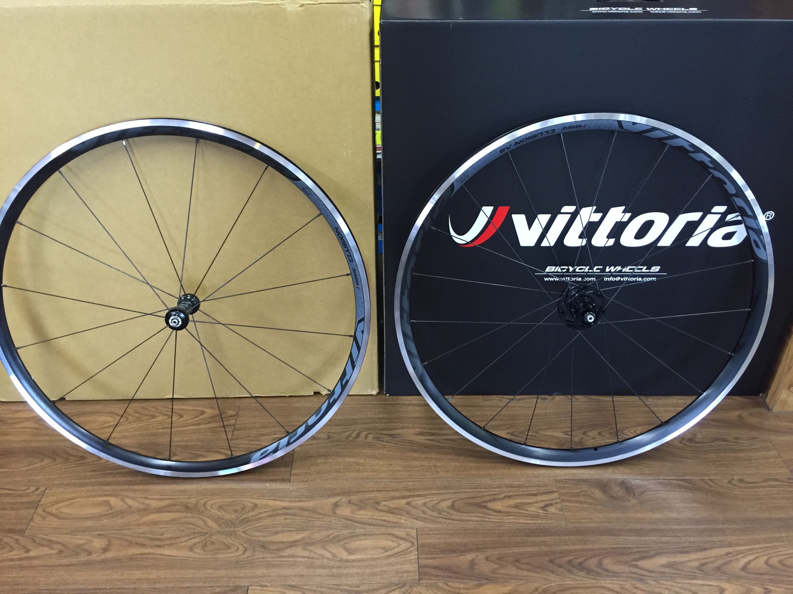 Vittoria Wheel [elusion] 新作入荷！！ - Climb cycle sports