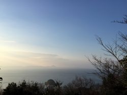 IMG_8905