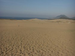 鳥取砂丘、大会コース全景