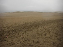 砂丘第１ランだが、天候が悪く見えへん～kahr上位で走行