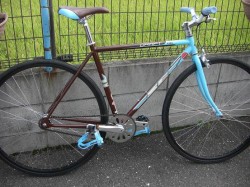 SE bikes 完成車