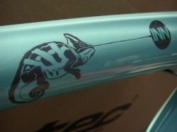Camaleonte カメレオンフレームデカール