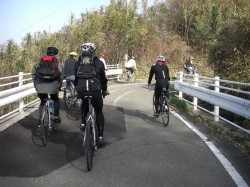 来島海峡大橋に向かう参加者