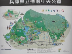 播磨中央公園ＭＡＰ