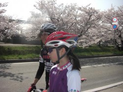 鹿島川付近、桜満開