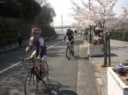 市ノ池公園に向かう