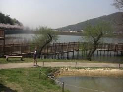 市ノ池公園の風景