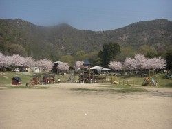 市ノ池公園のグラウンド