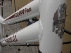 Bianchi MILANO Lady`s ヘッドチューブ