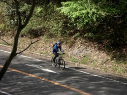 やぎちゃん平常運転