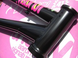 Funday Aaron Ross Signature Frame　ヘッドチューブ