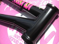 Funday Aaron Ross Signature Frame　ヘッドチューブ