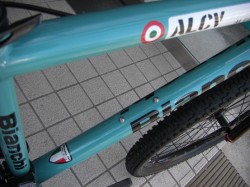 Bianchi AL CAVALLO 前３カクフレーム