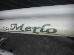 Bianchi MINIVELO-7 lトップデカール