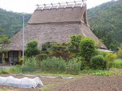 美山の風景