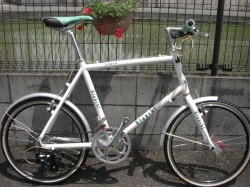 MINIVELO-8 FLAT BAR 完成車