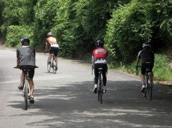 外周の気持ちいい道路が続く