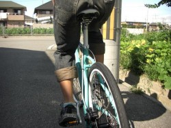 Bianchi COLLINA 2009.後部から