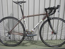 Bianchi IMOLA 完成車