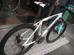 Bianchi AL CAVALLO 後方から