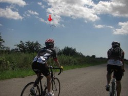 帰り道～加古川右岸自転車道