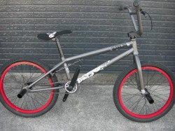 SUBROSA SALVADOR 完成車