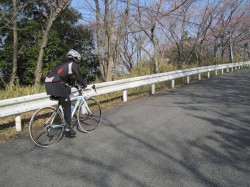 ハタね～さん、軽快に登る～