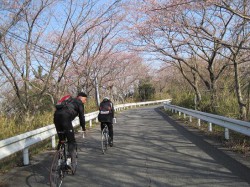 クロさん、も登る～