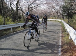 富さんとユウキくん、桜並木を登る