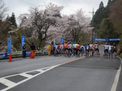 さぁ～パナソニックヒルクライム最後のクラス