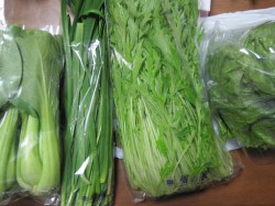 抽選会で高原野菜も当たっちゃいました～