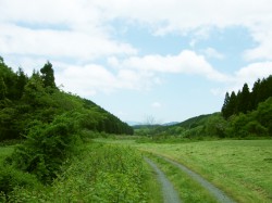 蒜山MTBコース②