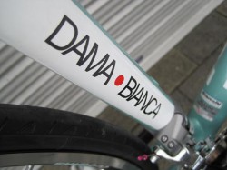 Bianchi DAMA・BIANCA シートチューブ